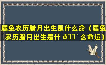 属兔农历腊月出生是什么命（属兔农历腊月出生是什 🐴 么命运）